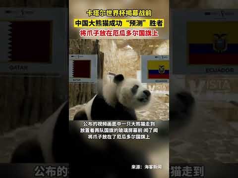 勒沃库森创,奇迹,德国超级杯,中国体彩,中国竞猜官网,中国体育竞猜平台,中国足球乐彩网