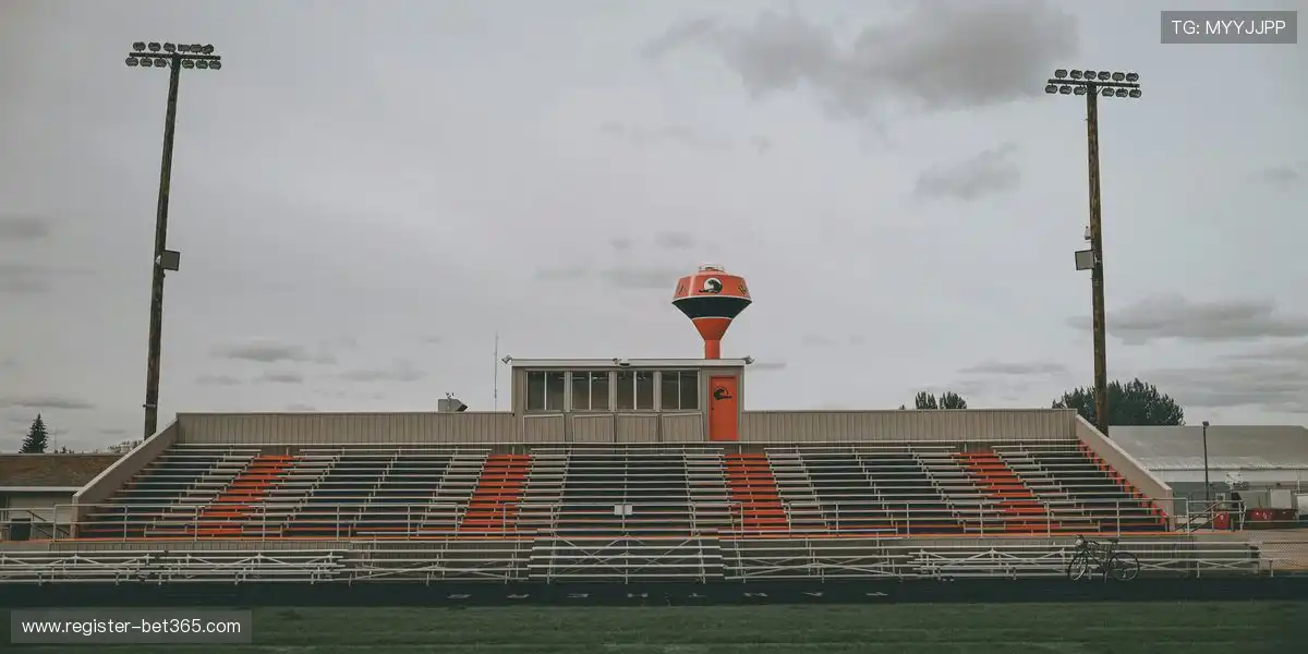 萨索洛后卫,维纳转投罗,短期租借至,中国体彩,中国竞猜官网,中国体育竞猜平台,中国足球乐彩网