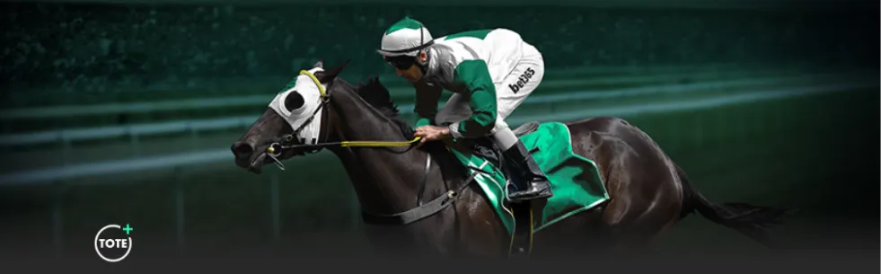 七载沉淀,火箭圣诞狂,欢夺冠,中国体彩,中国竞猜官网,中国体育竞猜平台,中国足球乐彩网