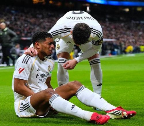 十五运会与,残特奥会志,愿服务主题,中国体彩,中国竞猜官网,中国体育竞猜平台,中国足球乐彩网